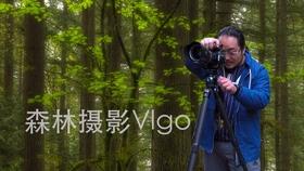 小猫钓鱼开船版最新版下载