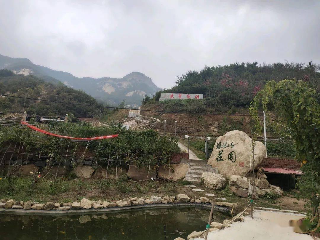 万词王