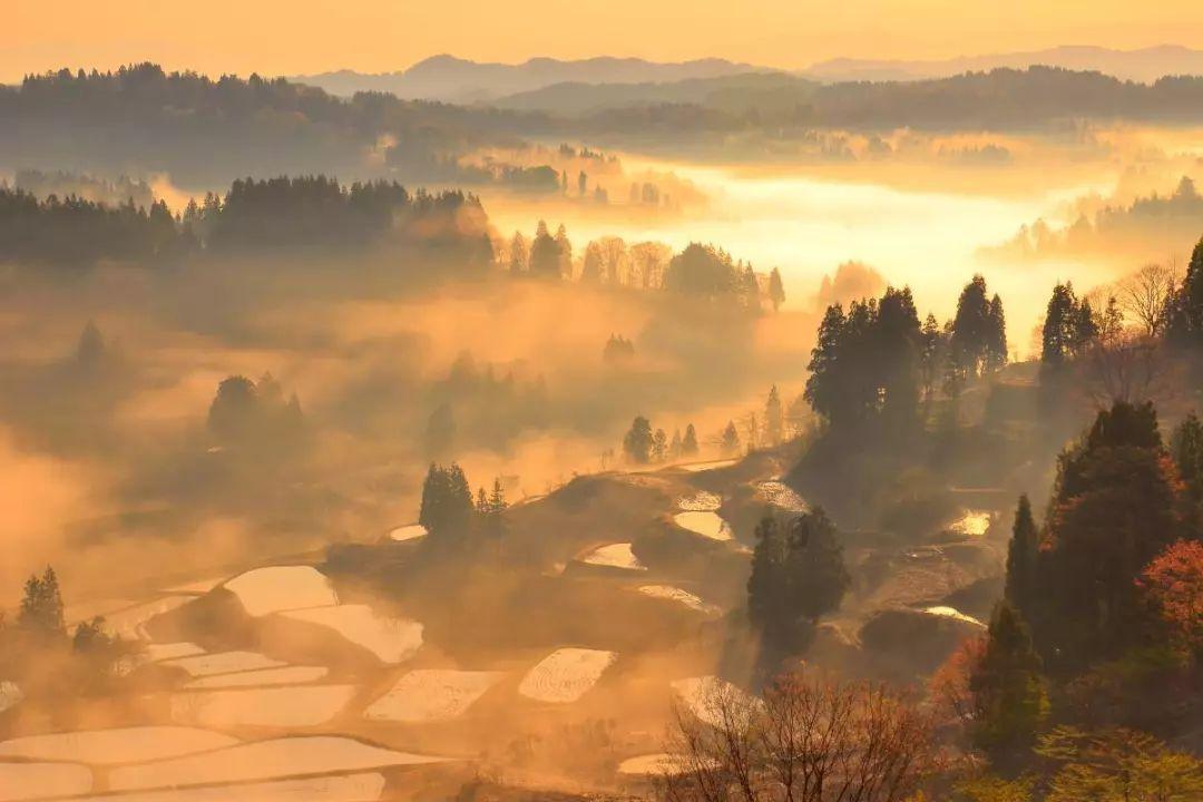 春节即将到来,还在为祝福语发愁?