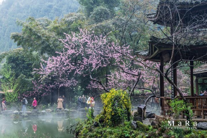 铜仁市:提升农村环境 建设美丽乡村