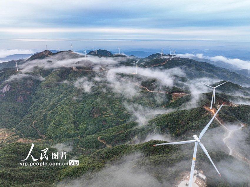 美媒：美国国会“鹰派”对以色列总理内塔尼亚胡失去信心